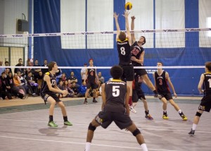 Read more about the article The Top Volleyball Terms Spectators Need to Know